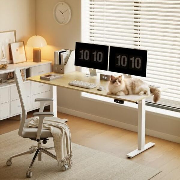 Découvrez notre test du bureau électrique assis-debout OffiGo 180x80 cm beige. Ergonomie, qualité et performance : tous les détails pour bien choisir votre bureau.